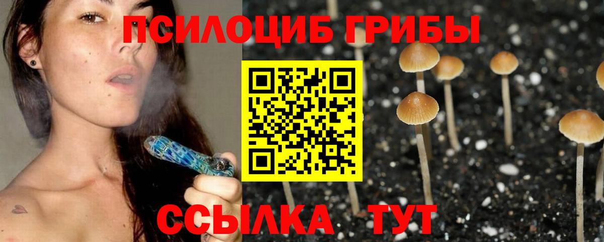 Псилоцибиновые грибы прущие грибы  Вход с VPN  Вологда 